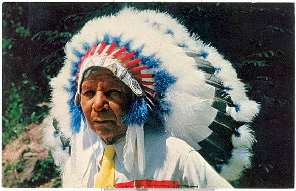 Cherokee Indian Chief, Cherokee Indian Reservation, NC - Carey's Emporium