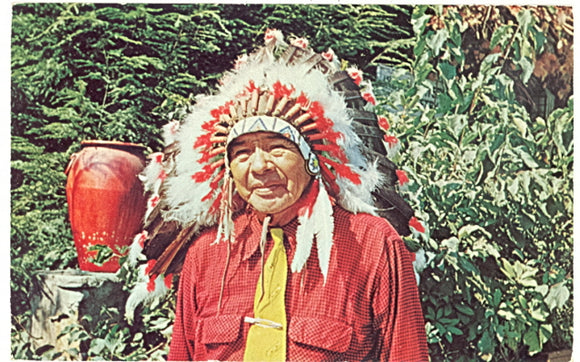 Chief Standing Deer, Cherokee Indian Reservation, NC - Carey's Emporium