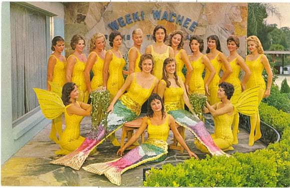 Mermaid Capital of the World, Weeki Wachee, FL - Carey's Emporium