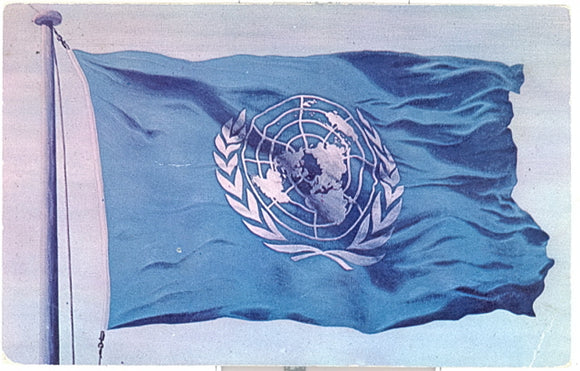 The Flag of the United Nations - Carey's Emporium