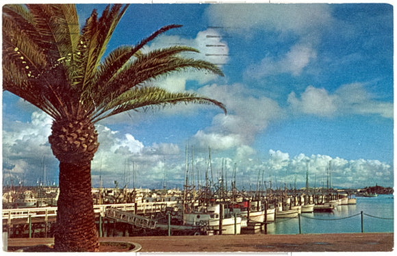 Fishing Pier, San Diego, CA - Carey's Emporium