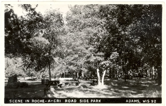 Scene in Roche-A-Cri Road Side Park, Adams, WI - Carey's Emporium