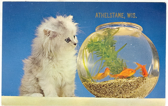 Not For Long, Athelstane, WI - Carey's Emporium