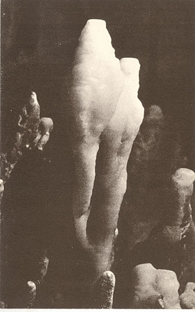 The Parrot, A Stalagmite Formation at the Entrance to the Narrows in Cave of the Mounds, Blue Mounds, WI - Carey's Emporium