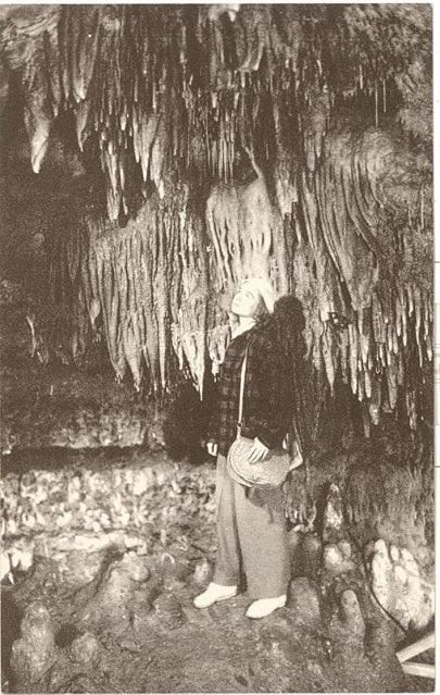 Stalactites on the Ceiling and Dome-Shaped Stalagmites on the Floor of the Chapel, Cave of the Mounds, Blue Mounds, WI - Carey's Emporium