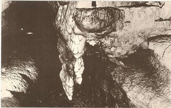 The Tower of Elephants and the Palisades on the Stalagmite Ridge in the South Section at Cave of the Mounds, Blue Mounds, WI - Carey's Emporium