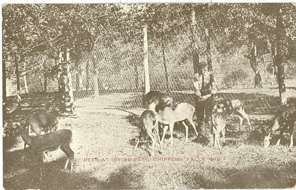 Deer at Irvine Park, Chippewa Falls, WI - Carey's Emporium