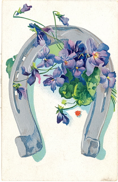 Horseshoe - Carey's Emporium