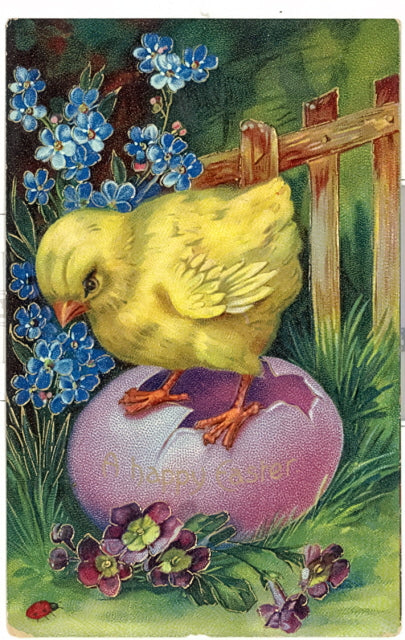 A Happy Easter - Carey's Emporium