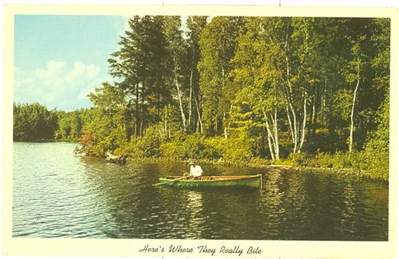 Greetings From McGoff's Water Power Lake Resort, Route 2, Deerbrook, WI - Carey's Emporium