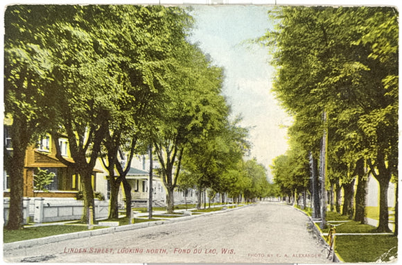 Linden Street, Looking North, Fond du Lac, WI - Carey's Emporium