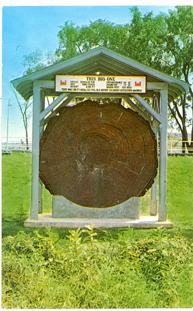 Historic Log, Kaukauna, WI - Carey's Emporium