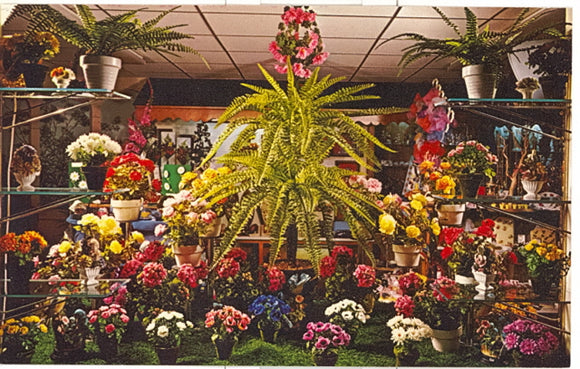 St. Mary's Home, Manitowoc, WI - Carey's Emporium