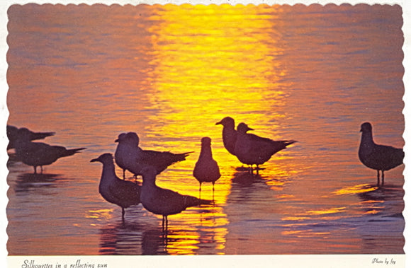 Greetings From Manitowoc County, Manitowoc, WI - Carey's Emporium