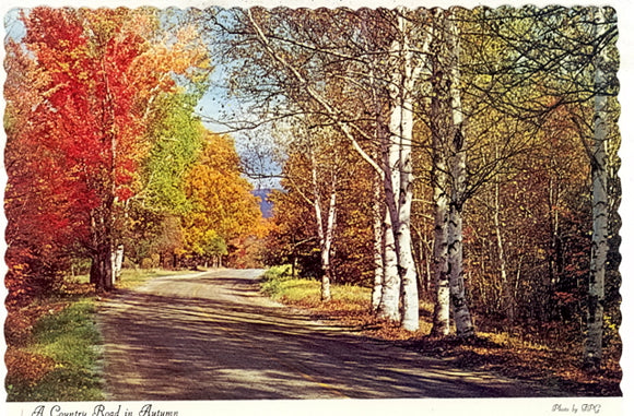 Greetings From Manitowoc County, Manitowoc, WI - Carey's Emporium