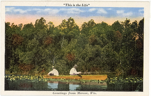 Greetings from Mercer, WI - Carey's Emporium