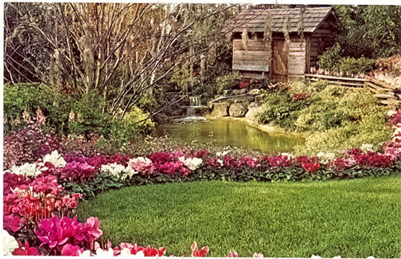 Mitchell Park Conservatory, Milwaukee, WI - Carey's Emporium