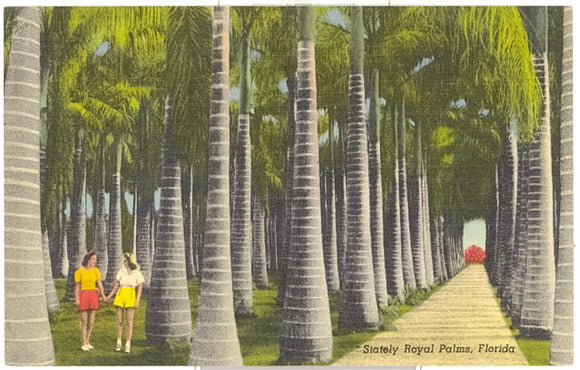 McKee Jungle Gardens, Vero Beach, FL - Carey's Emporium