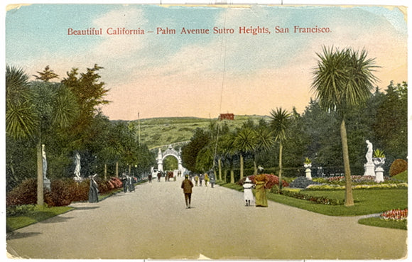Beautiful California, Palm Avenue Sutro Heights, San Francisco, CA - Carey's Emporium