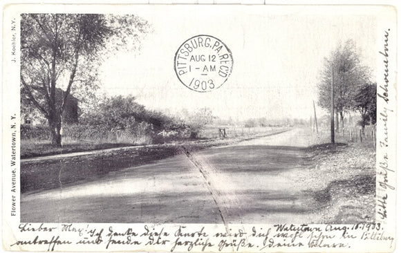 Flower Avenue, Watertown, NY - Carey's Emporium