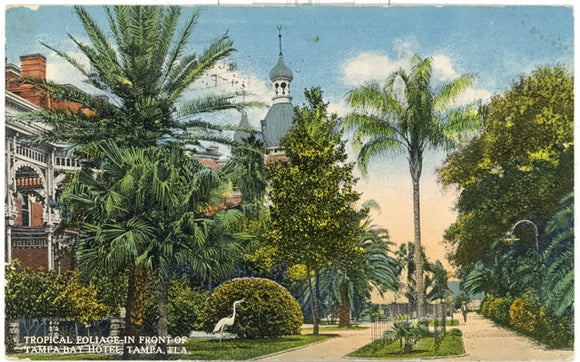 Tropical Foliage in Front of Tampa Bay Hotel, Tampa, FL - Carey's Emporium