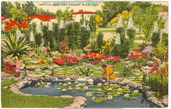 Tropical Pool and Garden, Miami, FL - Carey's Emporium