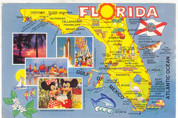 Florida - Carey's Emporium