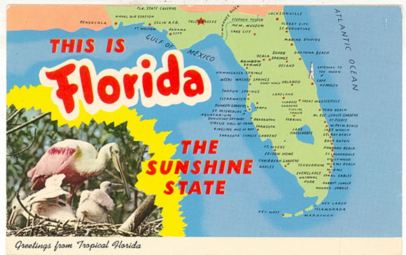 This is Florida, The Sunshine State - Carey's Emporium