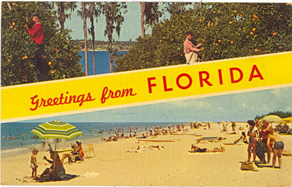 Greetings from Florida - Carey's Emporium