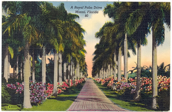 A Royal Palm Drive, Miami, FL - Carey's Emporium
