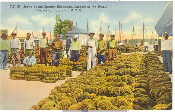 Scene at the Sponge Exchange, Largest in the World, Tarpon Springs, FL - Carey's Emporium