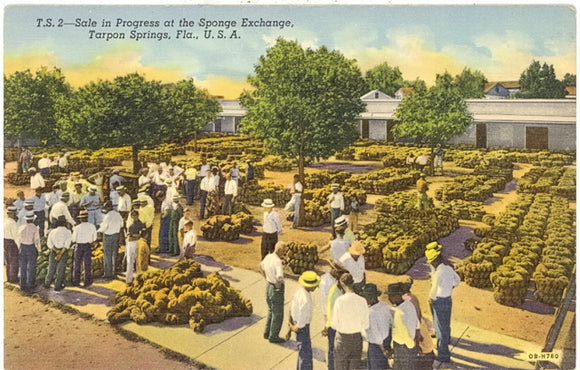 Sale in Progress at the Sponge Exchange, Tarpon Springs, FL - Carey's Emporium