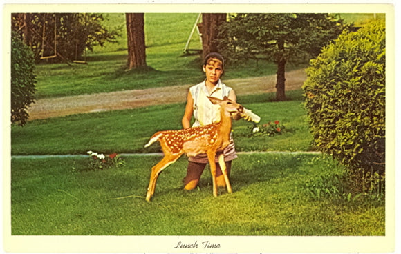 Lunch Time - Carey's Emporium