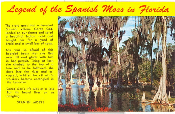 The Legend of the Spanish Moss - Carey's Emporium