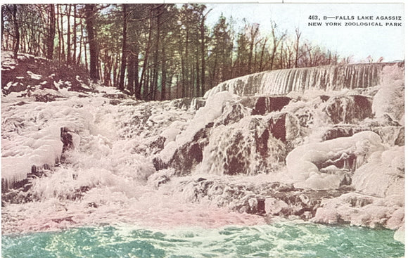 Falls Lake Agassiz New York Zoological Park, New York City, NY - Carey's Emporium