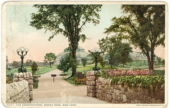 The Conservatory, Bronx Park, New York, NY - Carey's Emporium