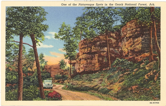 One of the Picturesque Spots in the Ozark National Forest, AR - Carey's Emporium