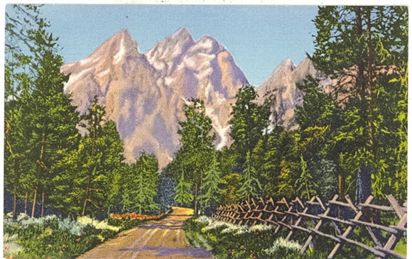 The Grand Teton from Road to Jenny Lake, Grand Teton National Park - Carey's Emporium