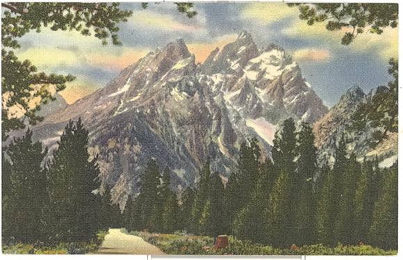Vista of the Majestic Grand Teton From the Grand Teton National Park - Carey's Emporium