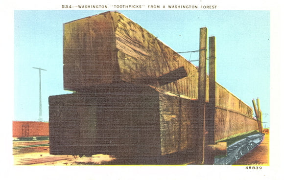 Washington Toothpicks from a Washington Forest - Carey's Emporium