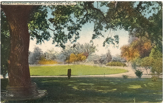 Constitution Square, Stockton, CA - Carey's Emporium