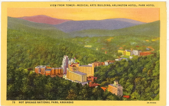 View from Tower, Medical Arts Building, Arlington Hotel, Park Hotel, Hot Springs National Park - Carey's Emporium