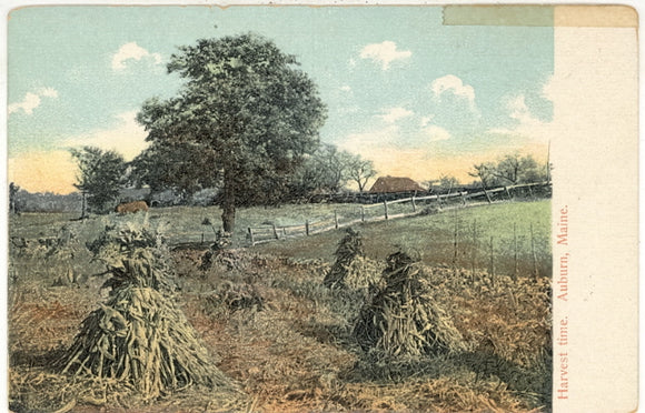 Harvest Time, Auburn, ME - Carey's Emporium