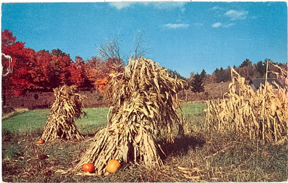 Harvest Time, Fairborn, OH - Carey's Emporium