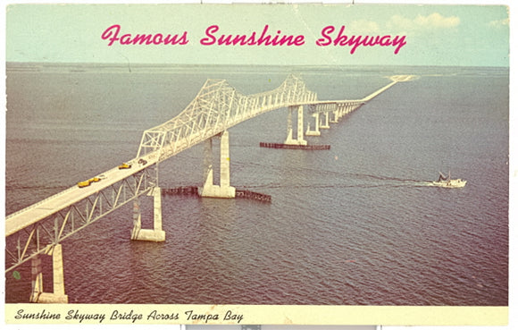 Famous Sunshine Skyway, FL - Carey's Emporium