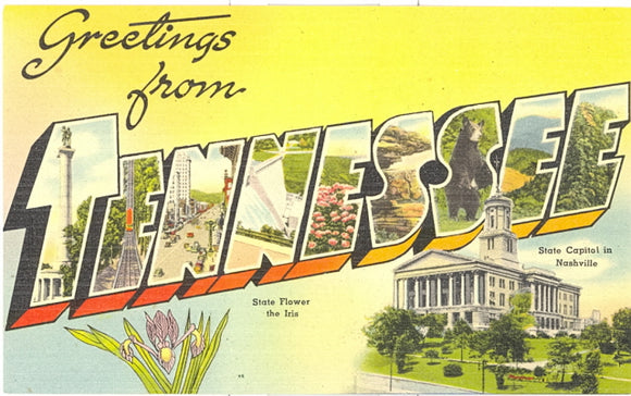 Greetings from Tennessee Large Letter - Carey's Emporium