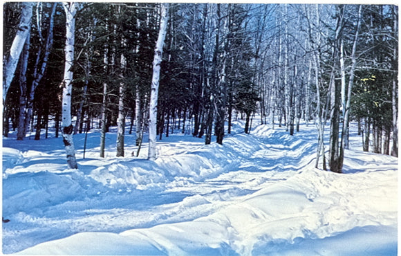 Lost Lake Woods Club, Lincoln, MI - Carey's Emporium