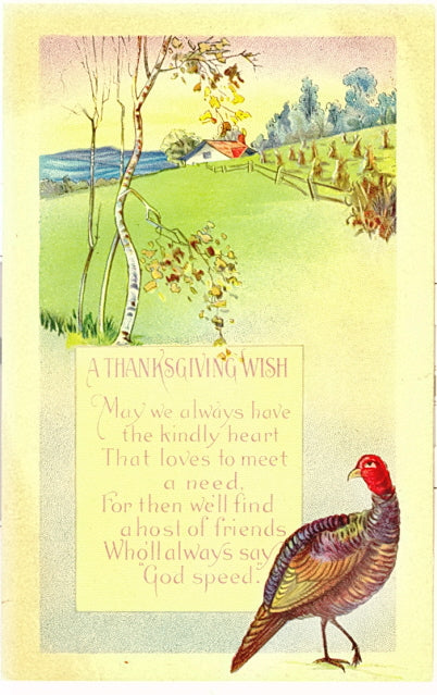 A Thanksgiving Wish - Carey's Emporium