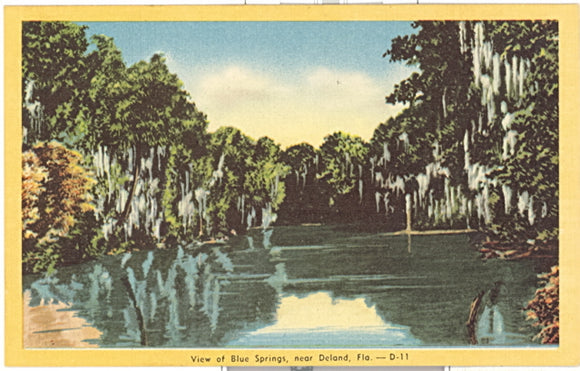 View of Blue Springs, near Deland, FL - Carey's Emporium