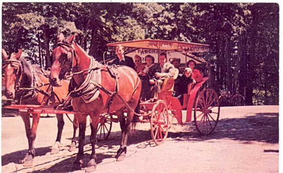 Horses and Carriage, Mackinac Island, MI - Carey's Emporium